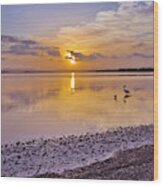 Pelican Sunset 9885 Wood Print