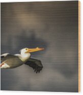 Pelican Sunset Flight Wood Print