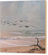 Pelicans At Honeymoon Island Wood Print