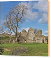 Pendragon Castle Wood Print