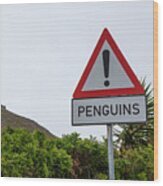 Penguins Road Sign Wood Print