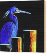 Pensive Blue Heron Wood Print