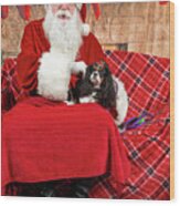 Peppermint With Santa 1 Wood Print