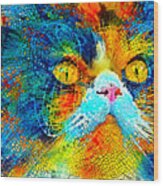 Persian Cat With Long Whiskers Close-up - Colorful Mosaic Wood Print