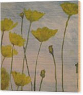 Petalled Yellow Wood Print