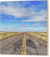 Petrified Forest National Park Road Color Wood Print