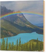 Peyto Lake Rainbow Wood Print