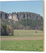 Pfaffenstein, Mountain Panorama In Saxon Switzerland Wood Print