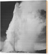 Photograph Of Old Faithful Geyser Erupting In Yellowstone National Park, Ca. 1941-1942 Wood Print