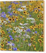 Pictorial Meadows Classic 3 Wood Print