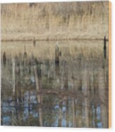 Piedmont Reflections Or Wood Print