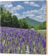 Pilot Mountain Spring Flowers Wood Print