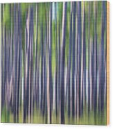 Pine Savana Abstract - Croatan National Forest Wood Print