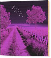 Pink Crooked Fence Wood Print