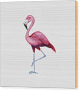 Pink Flamingo Wood Print