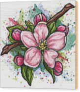 Pink Flower On White Background, Cherry Blossom Wood Print