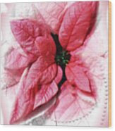 Pink Poinsettia With Pearls Seasonal Holiday Wood Print