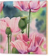 Pink Poppies Wood Print