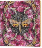 Pink Roses And Moths Wood Print