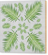 Plethora Of Palm Leaves 21 On A White Textured Background Wood Print