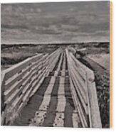 - Plum Island Walk Way Wood Print