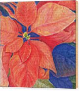 Poinsettia In Orange Red Wood Print