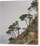 Point Lobos Iii Color Wood Print