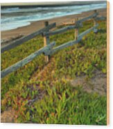 Point Reyes Beach Fence Sunset Wood Print