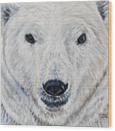 Polar Bear - Churchill Wood Print