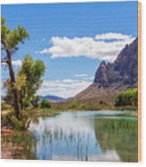 Pond Reflections In Mohave Desert, Nevada Wood Print