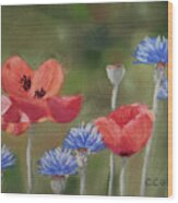 Poppies, Poppies Wood Print