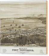 Port Townsend Washington Vintage Map Aerial View 1878 Wood Print