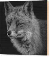 Portrait Fox Black An White Wood Print