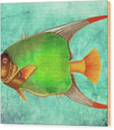 Portrait Of A Fish 2 Wood Print