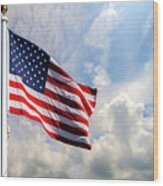 Portrait Of The United States Of America Flag Wood Print