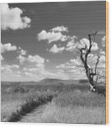 Prairie Path And Tree Wood Print