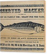 Preserved Mackerel Wood Print