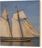 Pride Of Baltimore Ii Wood Print