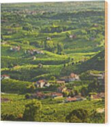 Prosecco Hills Panoramic View Of Vineyards And Wineries, Italy Wood Print