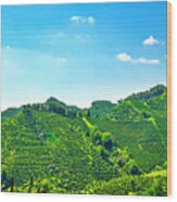 Prosecco Hills, Vineyards Daytime View. Unesco Site. Italy Wood Print