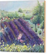 Provence Lavender Farm Wood Print