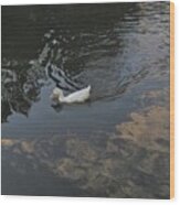Psychedelic Duck Swim Wood Print