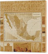 Public Education In Mexico Wood Print