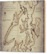 Puget Sound Washington State Us Coast Survey Vintage Map 1867 Sepia Wood Print