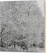 Purity Of Snow - Square Wood Print