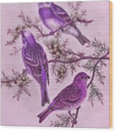 Purple Birds Wood Print