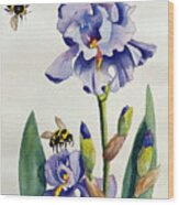 Purple Iris And Bees Wood Print