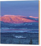 Purple Mountains Majesty - Bear, Mowglis, Oregon Wood Print
