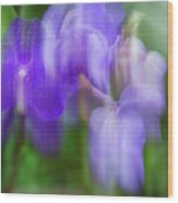 Purple Orchid Dream Wood Print