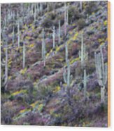 Purple Owls Clover With Saguaro Cactus Hillside Wood Print